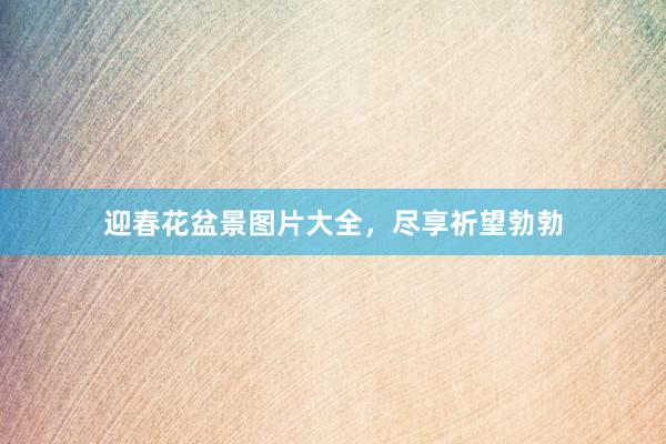 迎春花盆景图片大全，尽享祈望勃勃