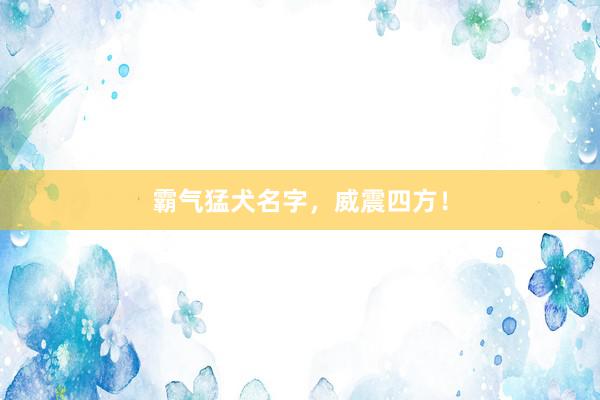 霸气猛犬名字，威震四方！