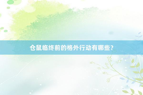 仓鼠临终前的格外行动有哪些？
