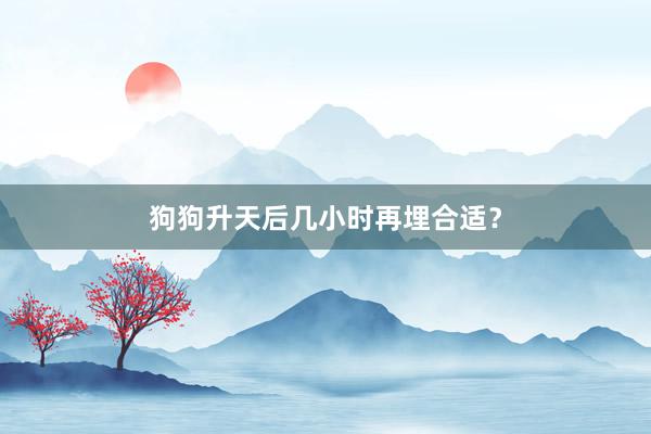 狗狗升天后几小时再埋合适？